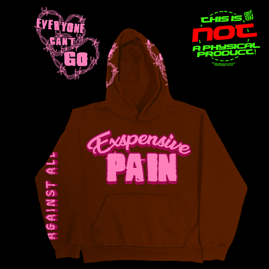EXPESNSIVE PAIN HOODIE CONCEPT